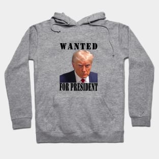 wanted for president Hoodie